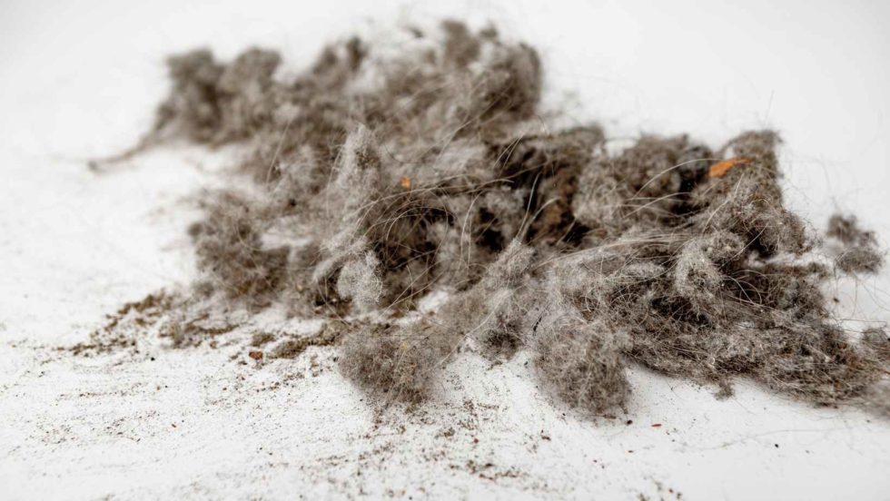 5 Reasons to Keep your Server Room Clean and Free From Dust